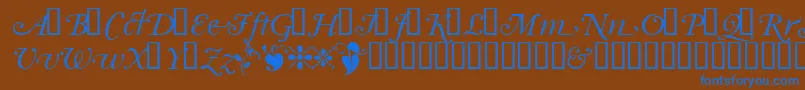 Garrymondrianswashsh Font – Blue Fonts on Brown Background