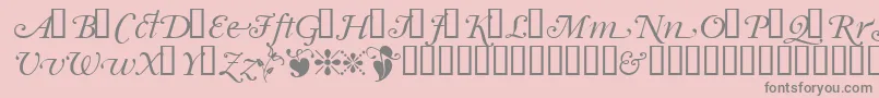 Garrymondrianswashsh Font – Gray Fonts on Pink Background