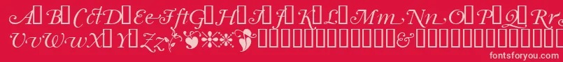 Garrymondrianswashsh Font – Pink Fonts on Red Background