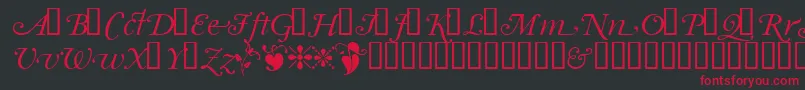 Garrymondrianswashsh Font – Red Fonts on Black Background