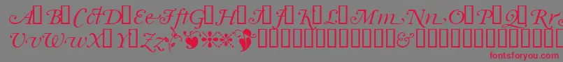Garrymondrianswashsh Font – Red Fonts on Gray Background