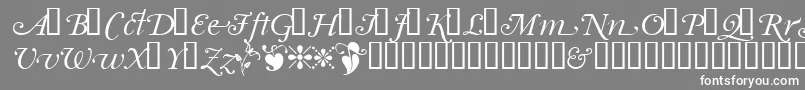 フォントGarrymondrianswashsh – 灰色の背景に白い文字