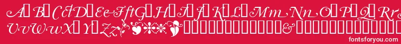 Garrymondrianswashsh Font – White Fonts on Red Background