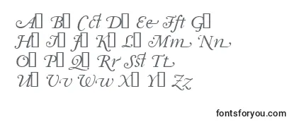 Garrymondrianswashsh Font