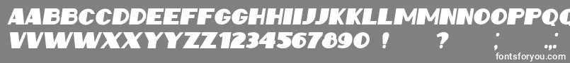 IntransitiveItalic Font – White Fonts on Gray Background