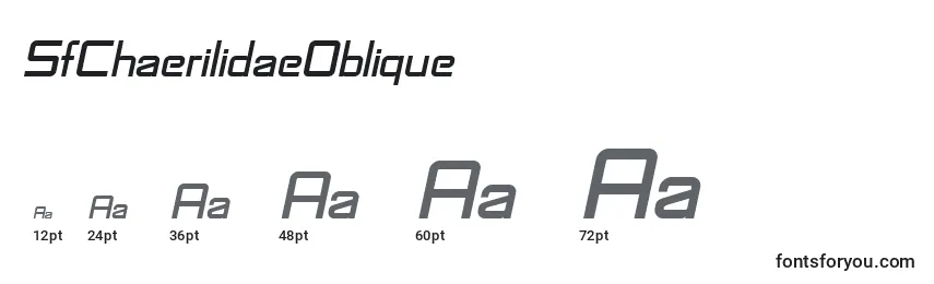 Размеры шрифта SfChaerilidaeOblique