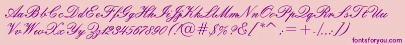 Шрифт Embassyn – фиолетовые шрифты на розовом фоне