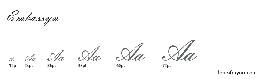 Embassyn Font Sizes