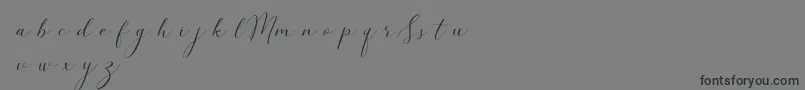SimpleMonologueDemo Font – Black Fonts on Gray Background