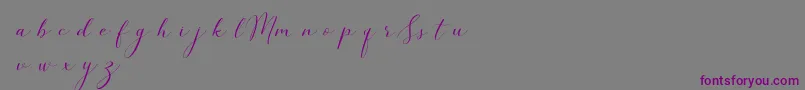 SimpleMonologueDemo-Schriftart – Violette Schriften auf grauem Hintergrund
