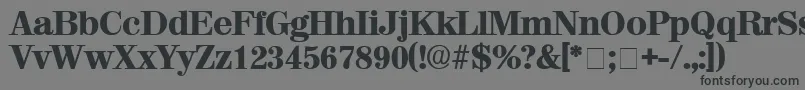 LuciaDisplaySsi Font – Black Fonts on Gray Background