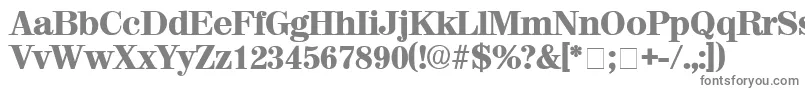 フォントLuciaDisplaySsi – 白い背景に灰色の文字