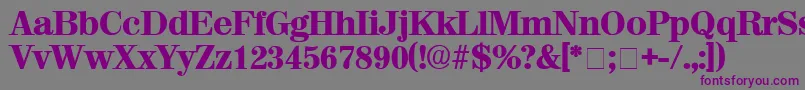 Шрифт LuciaDisplaySsi – фиолетовые шрифты на сером фоне