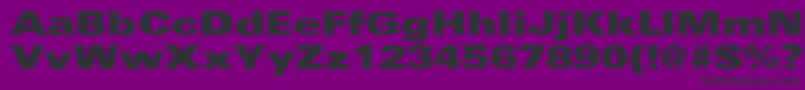 UniversExtrablackext Font – Black Fonts on Purple Background