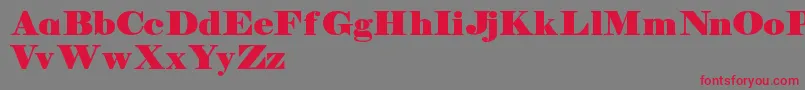 Manuelldemo Font – Red Fonts on Gray Background