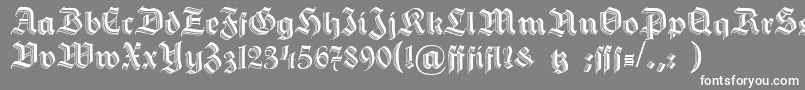 フォントHermannGotischc – 灰色の背景に白い文字