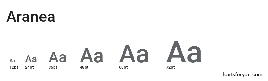 Größen der Schriftart Aranea