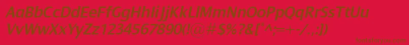 DialogSemiboldItalic Font – Brown Fonts on Red Background