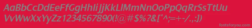 フォントDialogSemiboldItalic – 赤い背景に灰色の文字