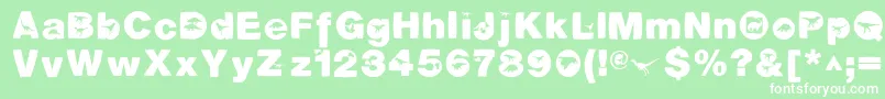 DinotiquaHeavy Font – White Fonts on Green Background