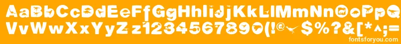 DinotiquaHeavy Font – White Fonts on Orange Background