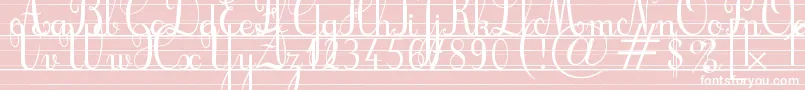 CursifLignes Font – White Fonts on Pink Background