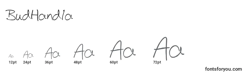 BudHand1a Font Sizes