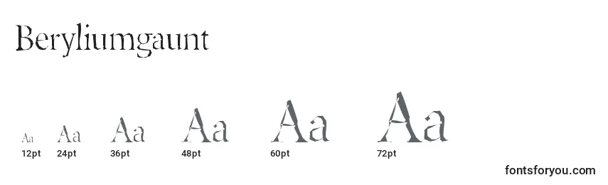 Размеры шрифта Beryliumgaunt
