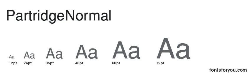 PartridgeNormal Font Sizes
