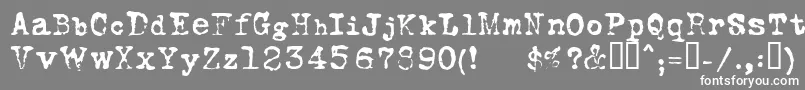 フォントFoxscriptNormal – 灰色の背景に白い文字