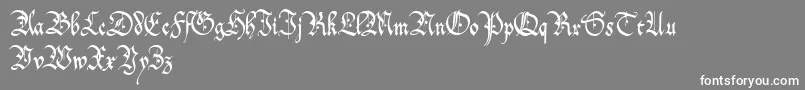 OffenbachChancery Font – White Fonts on Gray Background