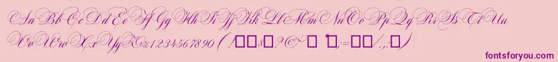 Maratre Font – Purple Fonts on Pink Background