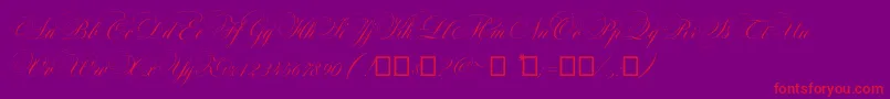 Maratre-Schriftart – Rote Schriften auf violettem Hintergrund