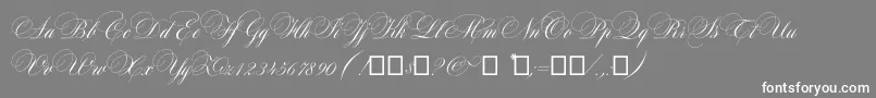 Maratre Font – White Fonts on Gray Background