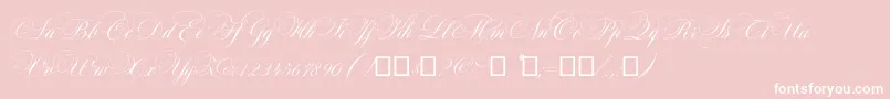 Maratre Font – White Fonts on Pink Background