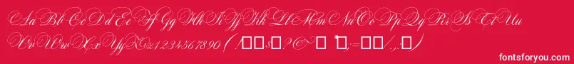 Maratre Font – White Fonts on Red Background