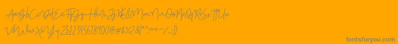 ShutterStoneStandar Font – Gray Fonts on Orange Background