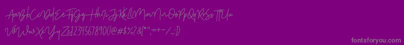 ShutterStoneStandar-Schriftart – Graue Schriften auf violettem Hintergrund