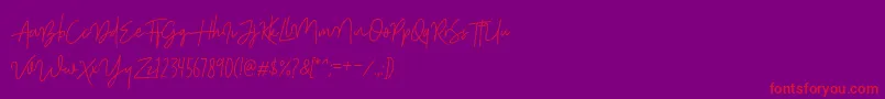 ShutterStoneStandar Font – Red Fonts on Purple Background