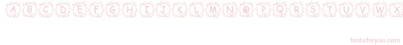 Jennas Font – Pink Fonts on White Background