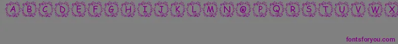 Jennas-Schriftart – Violette Schriften auf grauem Hintergrund