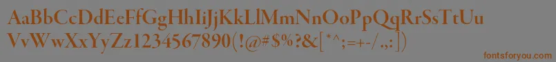 GaramondpremrproSmbddisp Font – Brown Fonts on Gray Background