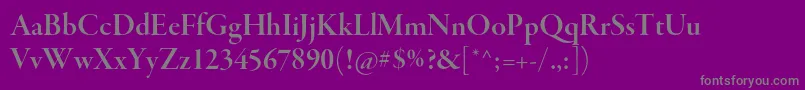GaramondpremrproSmbddisp Font – Gray Fonts on Purple Background