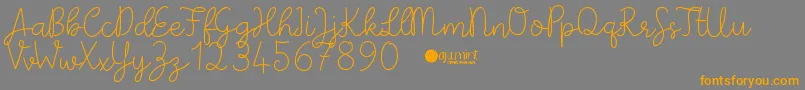PaperbowDemo Font – Orange Fonts on Gray Background