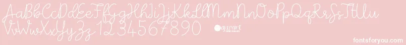 PaperbowDemo Font – White Fonts on Pink Background