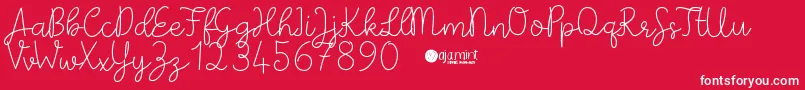 PaperbowDemo Font – White Fonts on Red Background