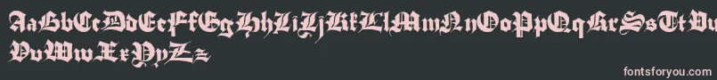 StuttgartGothicDemo Font – Pink Fonts on Black Background