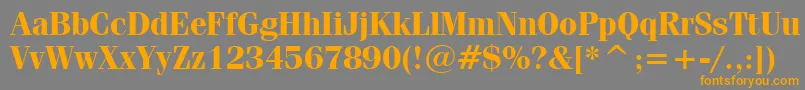 FeniceBoldBt Font – Orange Fonts on Gray Background