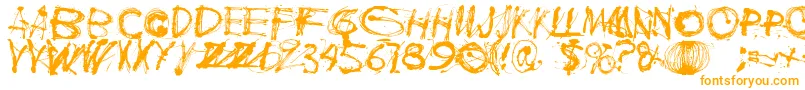 Polla-Schriftart – Orangefarbene Schriften auf weißem Hintergrund