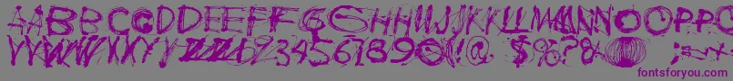 Шрифт Polla – фиолетовые шрифты на сером фоне